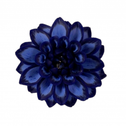 Sapphire Blue Dahlia Brooch Pin