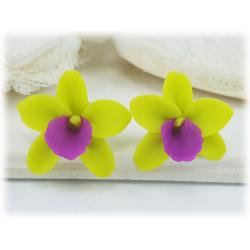 Green Orchids Stud Earrings