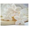 Stephanotis Pearl Hair Pins