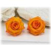 Feria Rose Stud Earrings