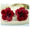 Red Hawaii Hibiscus Stud Earrings