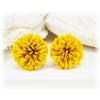 Dandelion Stud Earrings