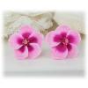 Pink Hibiscus Stud Earrings