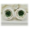 Ranunculus Stud Earrings