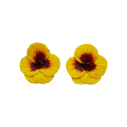 Yellow Red Pansy Stud Earrings