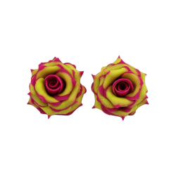 Fuchsia Tipped Chartreuse Rose Stud Earrings