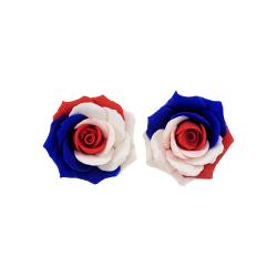 Red White and Blue Rose Stud Earrings